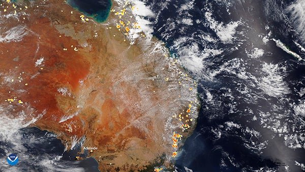 Response to Australian Bushfire Crisis