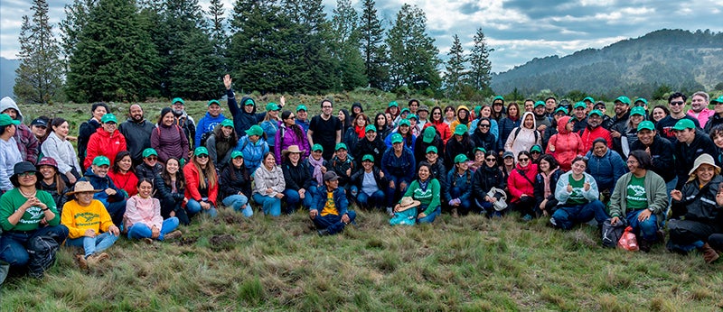 Planting Trees with Reforestamos México