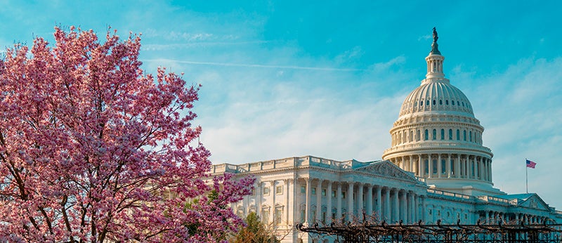Advocating for Libraries and IMLS Funding